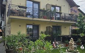 Casa Pescarus